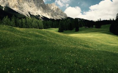 Die Natur ist etwas Wunderbares