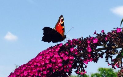 Zeit für einen Mutausbruch