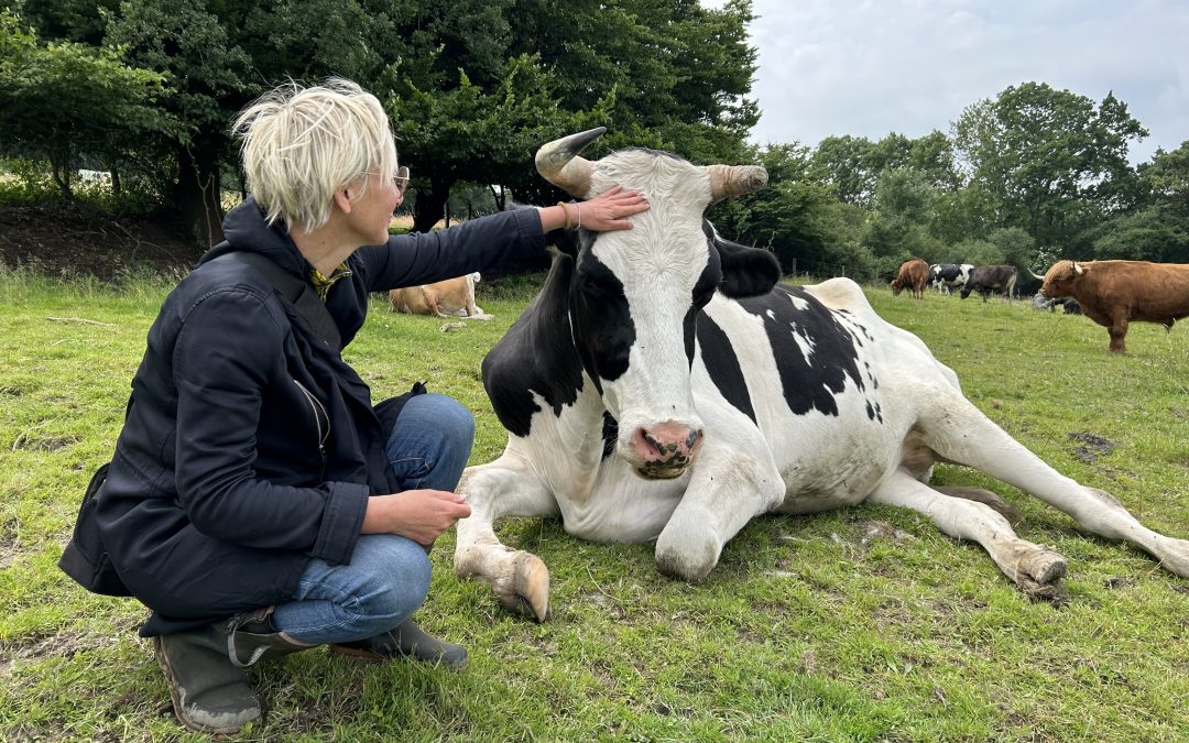 Was Tierschutz für mich bedeutet