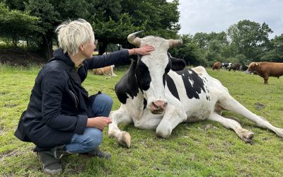Warum ich keine Tierschützerin bin – sondern …